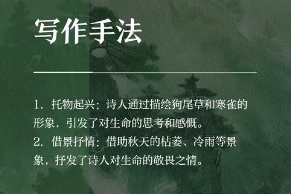 揭开男命日坐天医的神秘面纱，探索其深意与影响