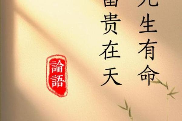 来世以命还命：生命轮回中的宿命论思考