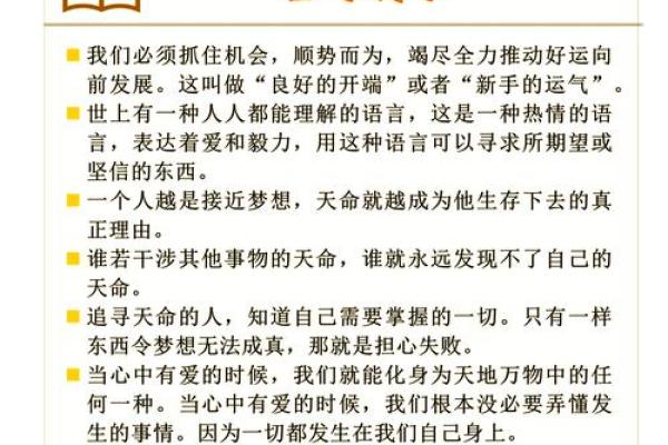 拿命挑战人生：勇敢追梦的哲学与实践