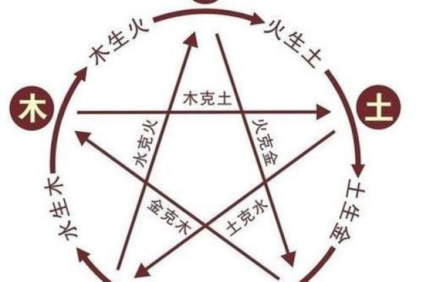 木命与哪些命相合，财运更佳的秘密探索