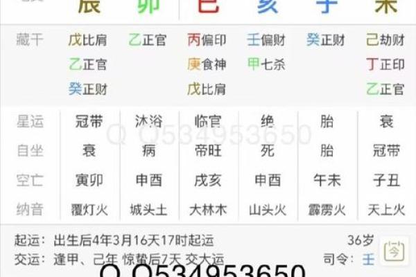 揭秘命理八字：看相与看书的绝妙结合之道