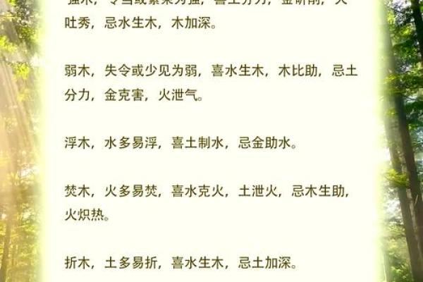 木命与最佳搭配：揭秘最佳木命组合的奥秘与实践