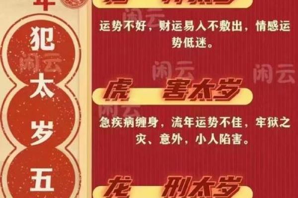 揭秘：命最长的六大生肖，谁是长寿之王？
