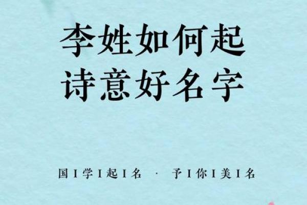 揭开木命李姓的奥秘，探索背后的含义与智慧