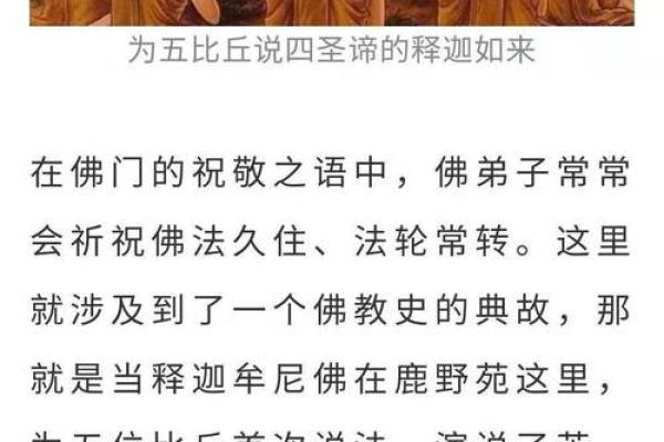 揭开木命李姓的奥秘，探索背后的含义与智慧