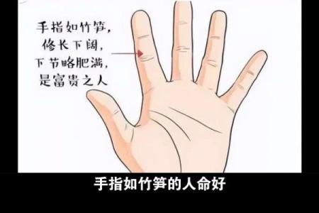 看手相知富贵命与穷命，揭示命运奥秘之道！