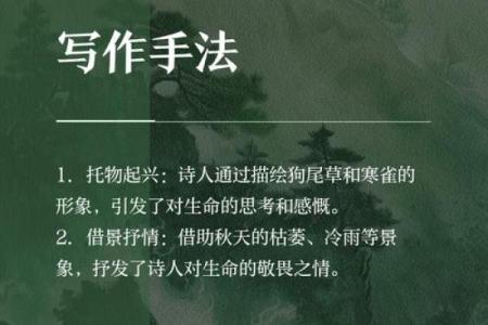 揭开男命日坐天医的神秘面纱，探索其深意与影响