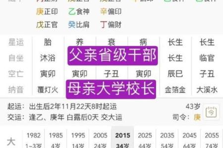 腊月十八出生的人命运解析：揭示未来的吉凶与成就