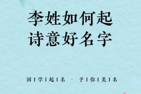 揭开木命李姓的奥秘，探索背后的含义与智慧
