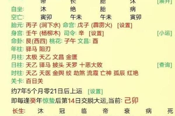 男命丙申八字：探秘火猴之性与人生轨迹