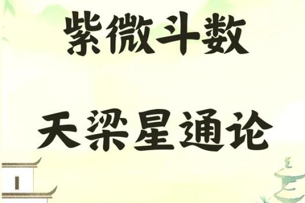 揭秘男命子女宫天梁星的深刻寓意与影响