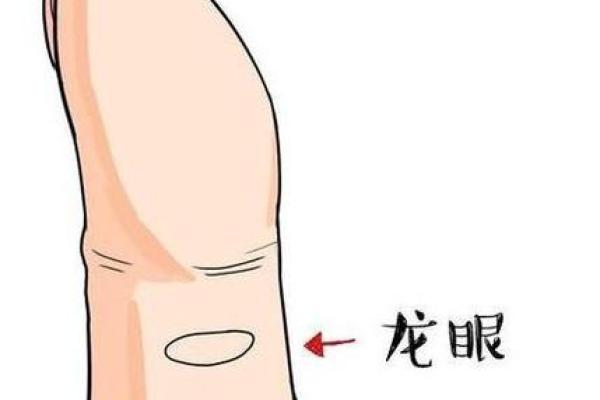 揭开手相的神秘面纱：通过手相了解命运的奥秘
