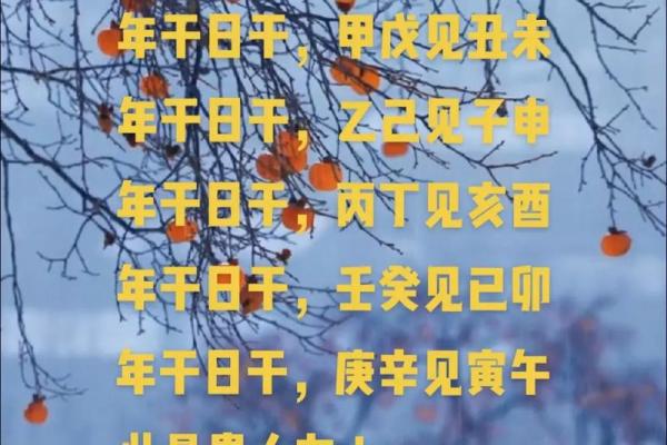 男孩属龙，羊吃草，探索命理中的神秘力量与人生轨迹