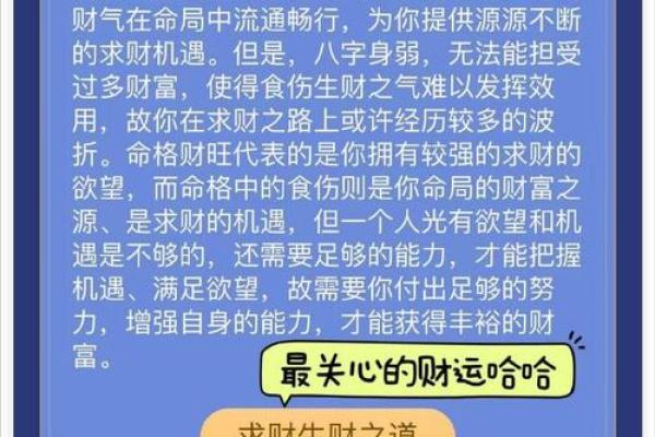 快速查自己命理，揭示人生潜能与福祉之秘！
