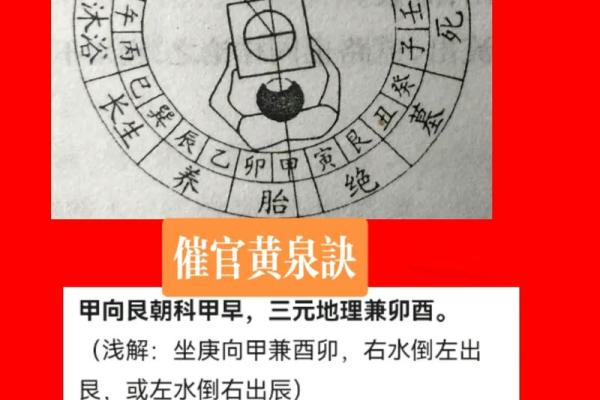 坤命女为何深受坤命男青睐的魅力解析