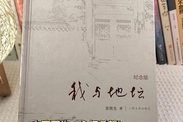 男命冲墓库的深刻解读与人生启示