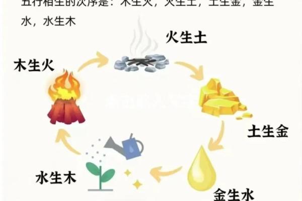 揭秘木命与金命：命理中的五行密码与人生解读