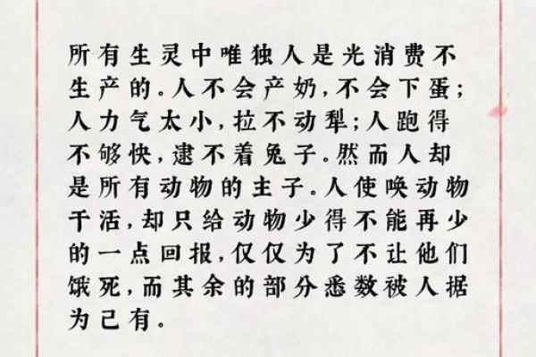 命心千万，自家水的深意与启示