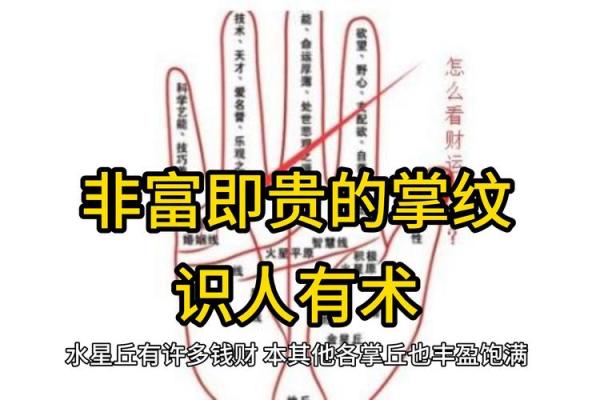 揭秘男人的手相：哪些特征暗示着当官命格？