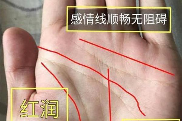 揭秘男人的手相：哪些特征暗示着当官命格？