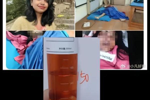 揭开命之母的神秘面纱：最佳服用时间与效果揭秘