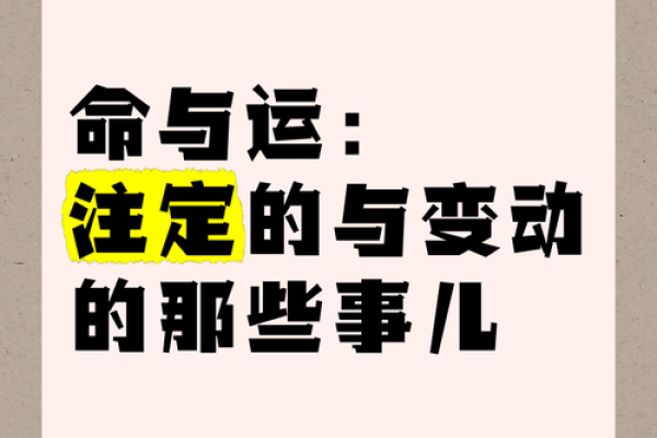揭开命王之象的神秘面纱：命与运的无形交织