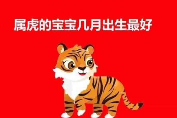 2024年虎宝宝的命运：让我们一起探索属于他们的未来！