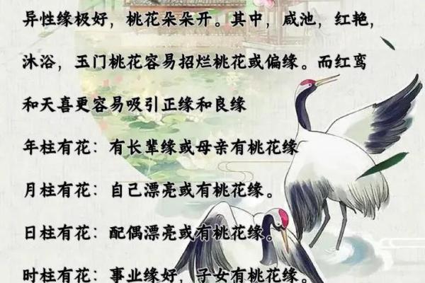 揭示命理密码：命带三个红鸾的深意与解读