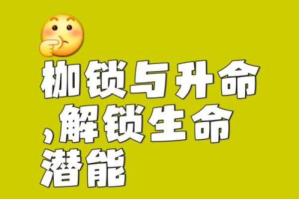 揭示命主显贵的神秘天机，打破命运的枷锁！