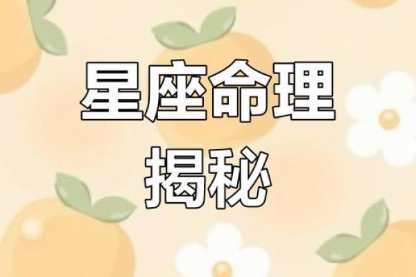 揭开命格6命的神秘面纱：人生的选择与命运的交织