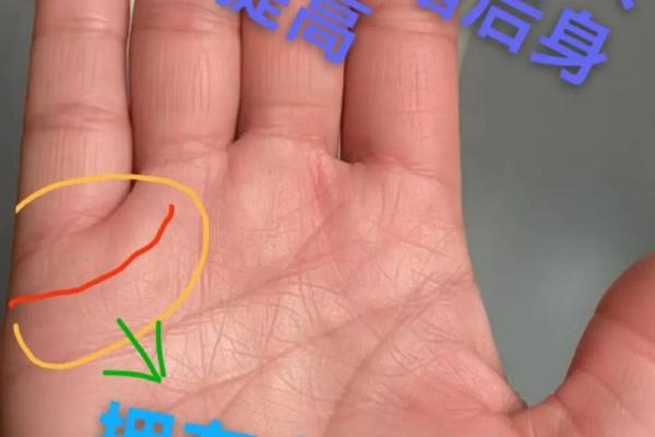 揭秘：什么样的女人才是最有福命的？