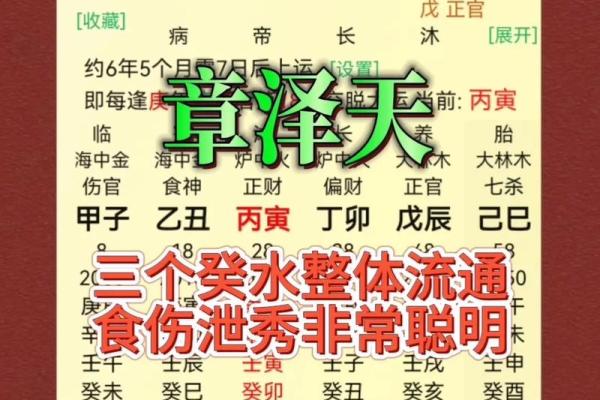 揭开女命流年食伤的神秘面纱，解读命理中的深意