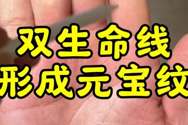 科目二驾驶考试中的生命线解析及其重要性