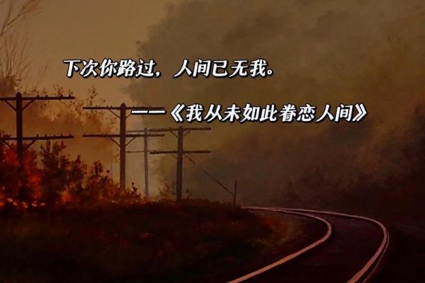 苦命奔波，命凄凉：寻觅生活的光亮与希望