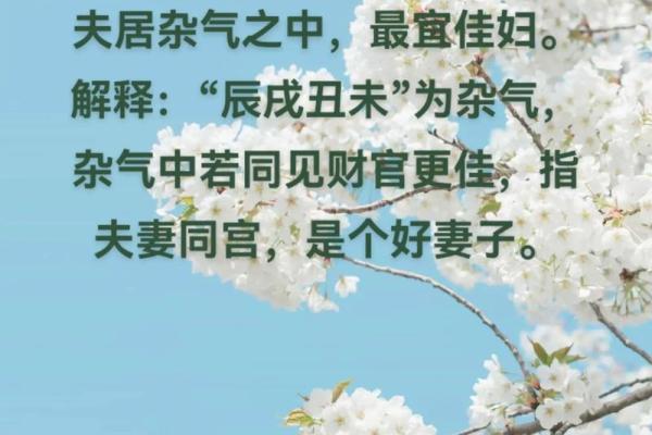 揭开命理之谜：女人菜籽命与男人命运的深刻对比