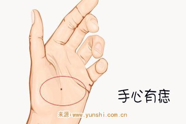 揭开命理之谜：女人菜籽命与男人命运的深刻对比