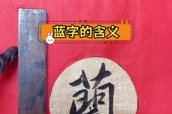 兰花命的人：独特气质与命运特征的探秘