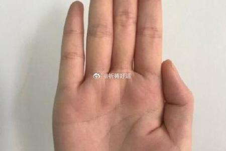 看手腕你是什么命？揭开命运之谜的秘密！