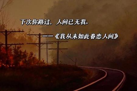 苦命奔波，命凄凉：寻觅生活的光亮与希望