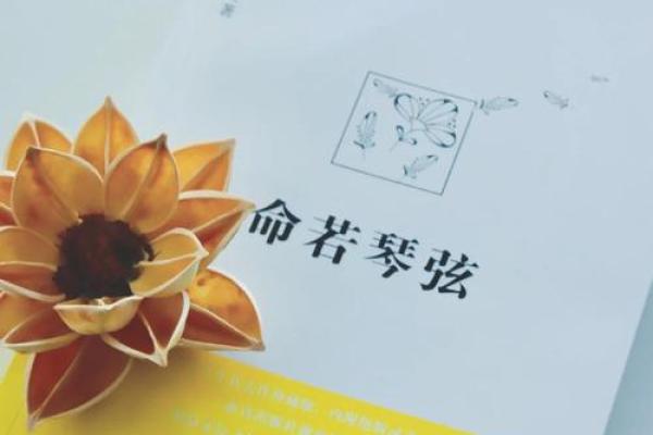 命若琴弦，人生如乐曲：解读生命的节奏与和谐