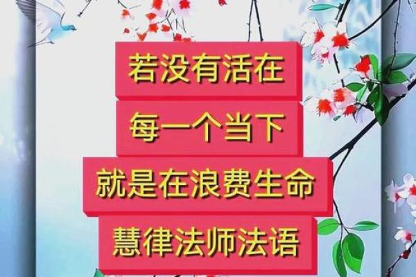 命若琴弦，人生如乐曲：解读生命的节奏与和谐
