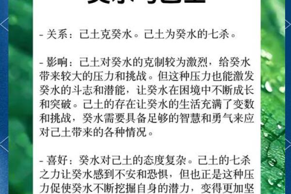 葵水命女性适合的男人：智慧与温柔的完美结合