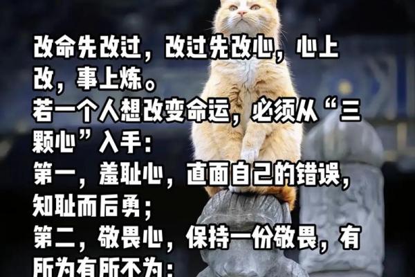 离命人：探索命运改变的另一个侧面