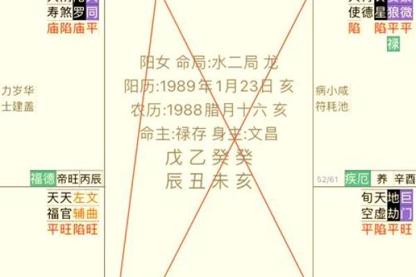 巨门入命：探秘神秘命格的深层含义与解析