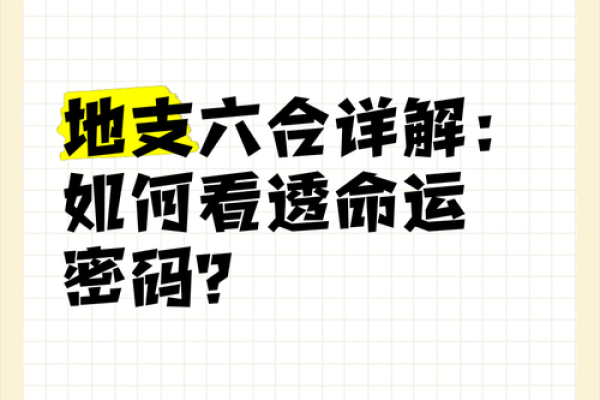 命运的密码：揭示高命局的奥秘与特征