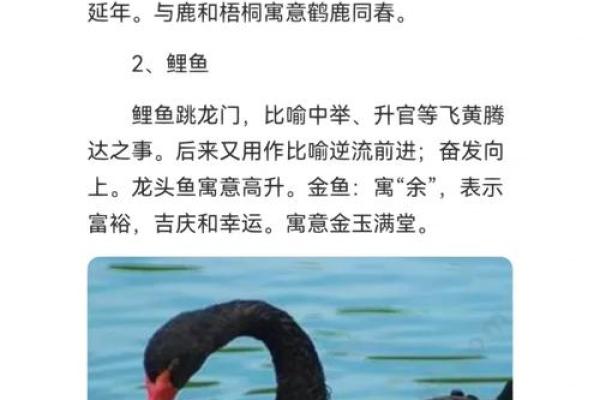 命悬一线，生肖中的哪种动物寓意深远？