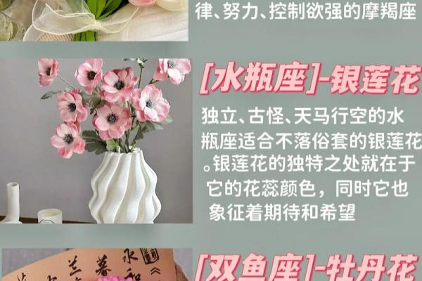 命理中的本命花解析：如何选择与自己命格相契合的花卉