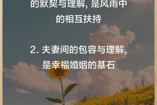 探寻配偶命好背后的深刻含义与生活智慧