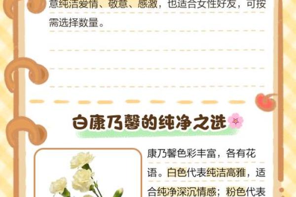 探寻配偶命好背后的深刻含义与生活智慧