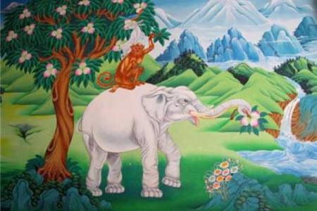 狂野续命的奇妙动物世界——探秘自然的生存智慧